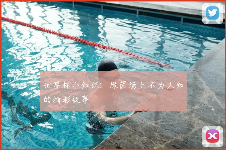 世界杯小知识:绿茵场上不为人知的精彩故事