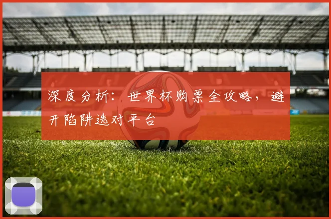 深度分析：世界杯购票全攻略，避开陷阱选对平台