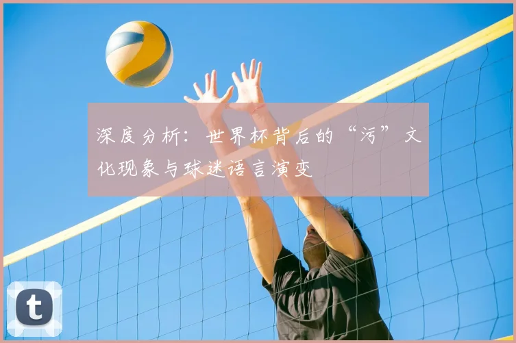 深度分析：世界杯背后的“污”文化现象与球迷语言演变