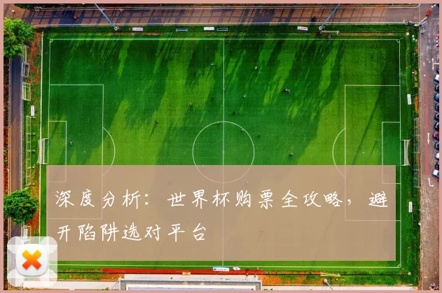深度分析：世界杯购票全攻略，避开陷阱选对平台