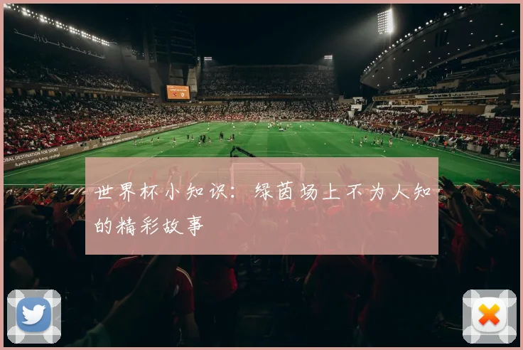 世界杯小知识:绿茵场上不为人知的精彩故事